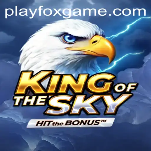 Unveiling the Adventure: KingOfTheSky - The Dynamic Gaming Experience